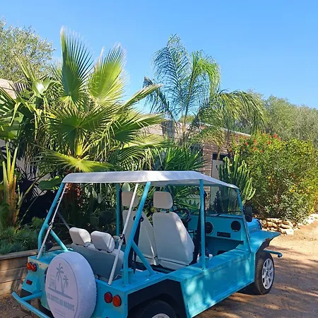 Les Du Maquis בוניפסיו