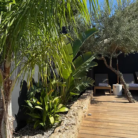 Les Du Maquis בוניפסיו