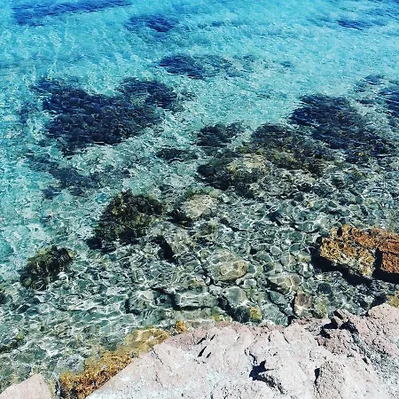 Les Du Maquis Bonifacio (Corsica)
