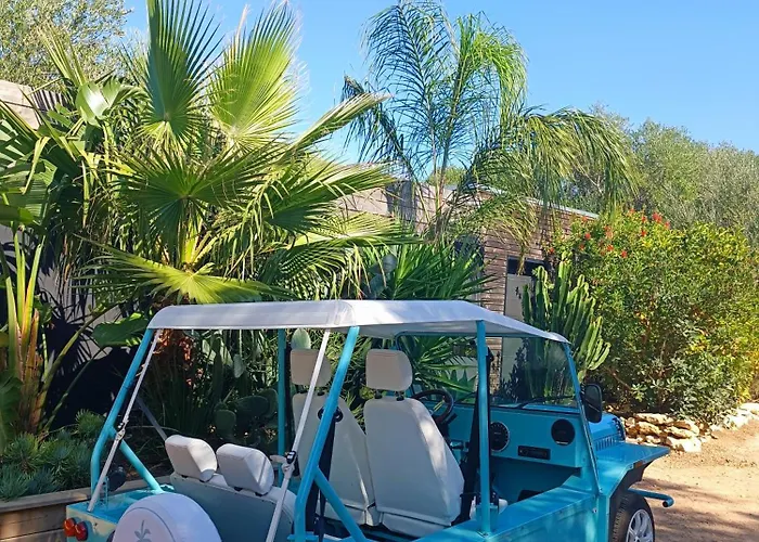 Les Du Maquis Bonifacio